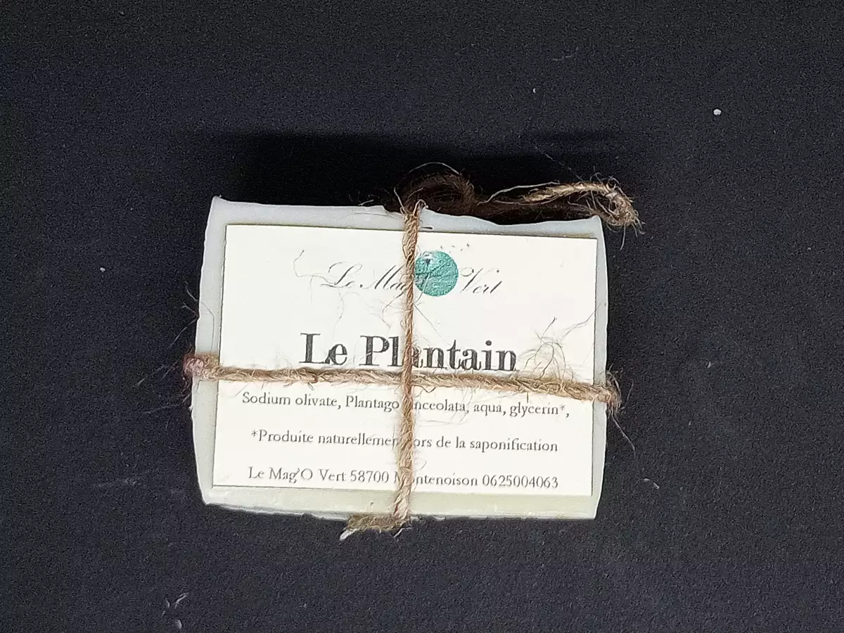 Le Plantain